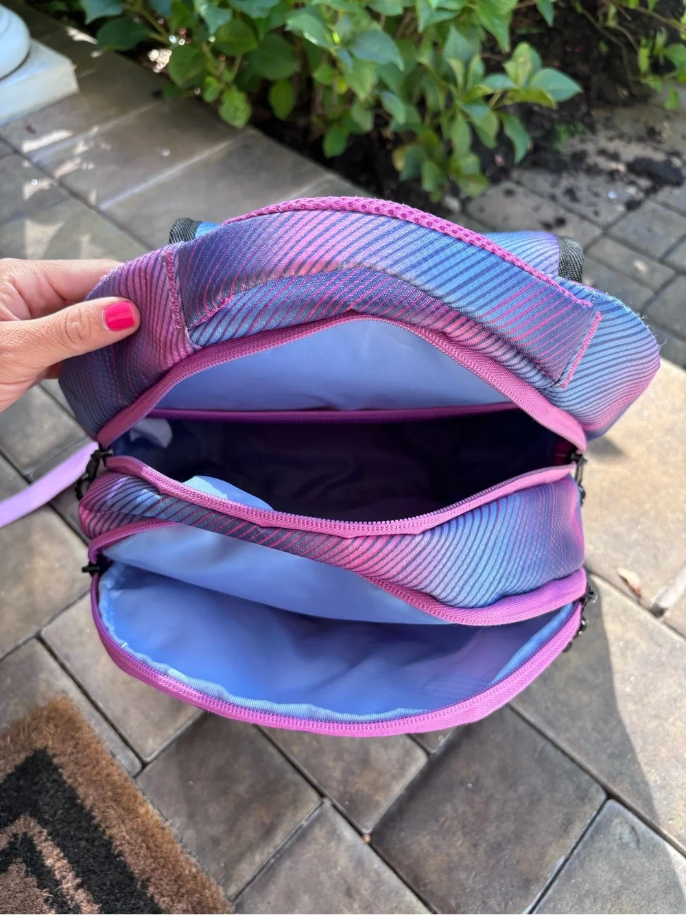Champion Purple and Pink Ombre Backpack for Men